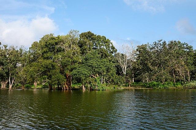 things to do in kabini