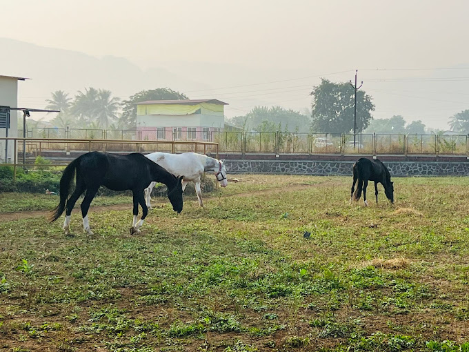  Blissful Lifestyle Retreat-horse riding