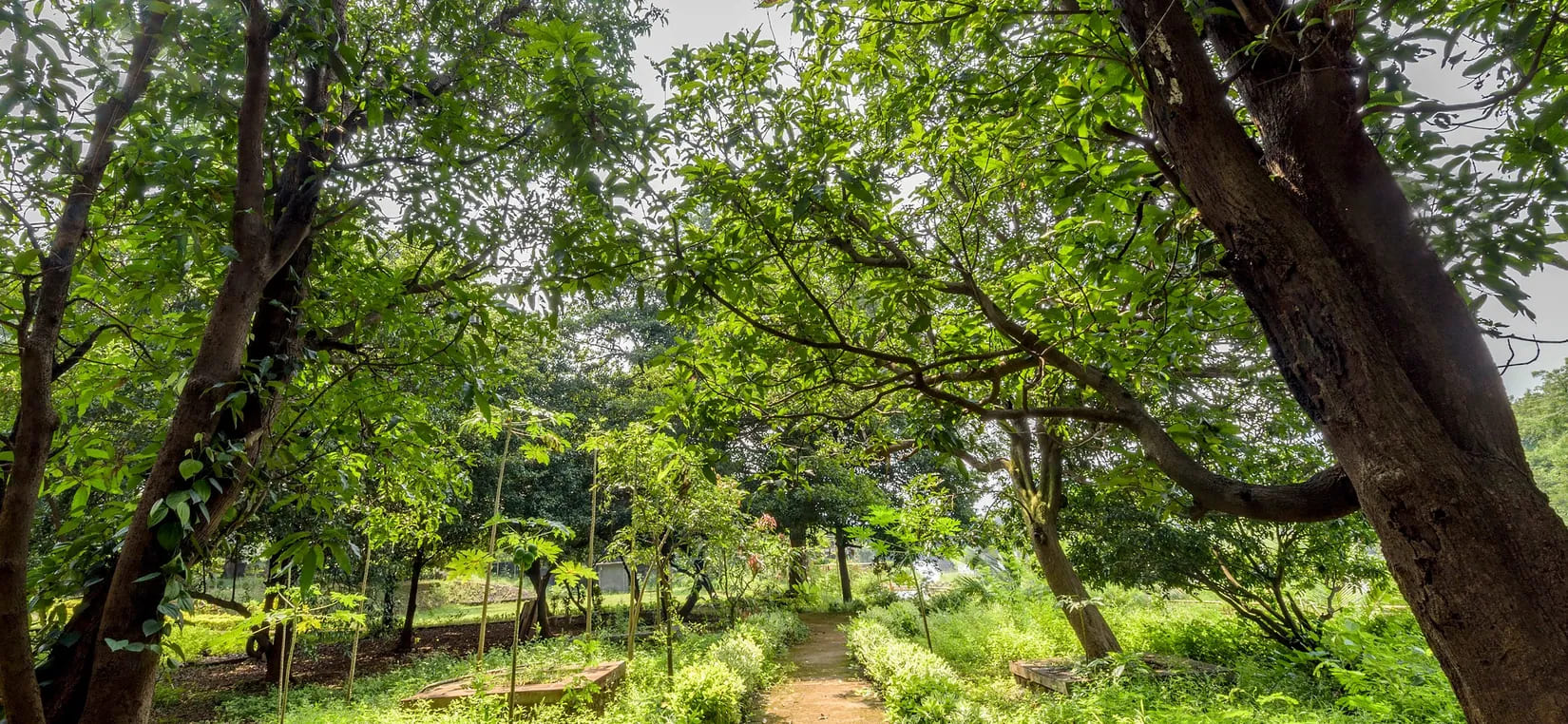 Pure Veg Villas in Karjat |2025