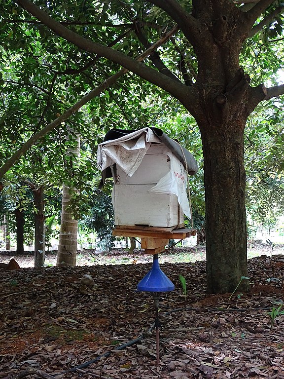 honey farm in thrissur