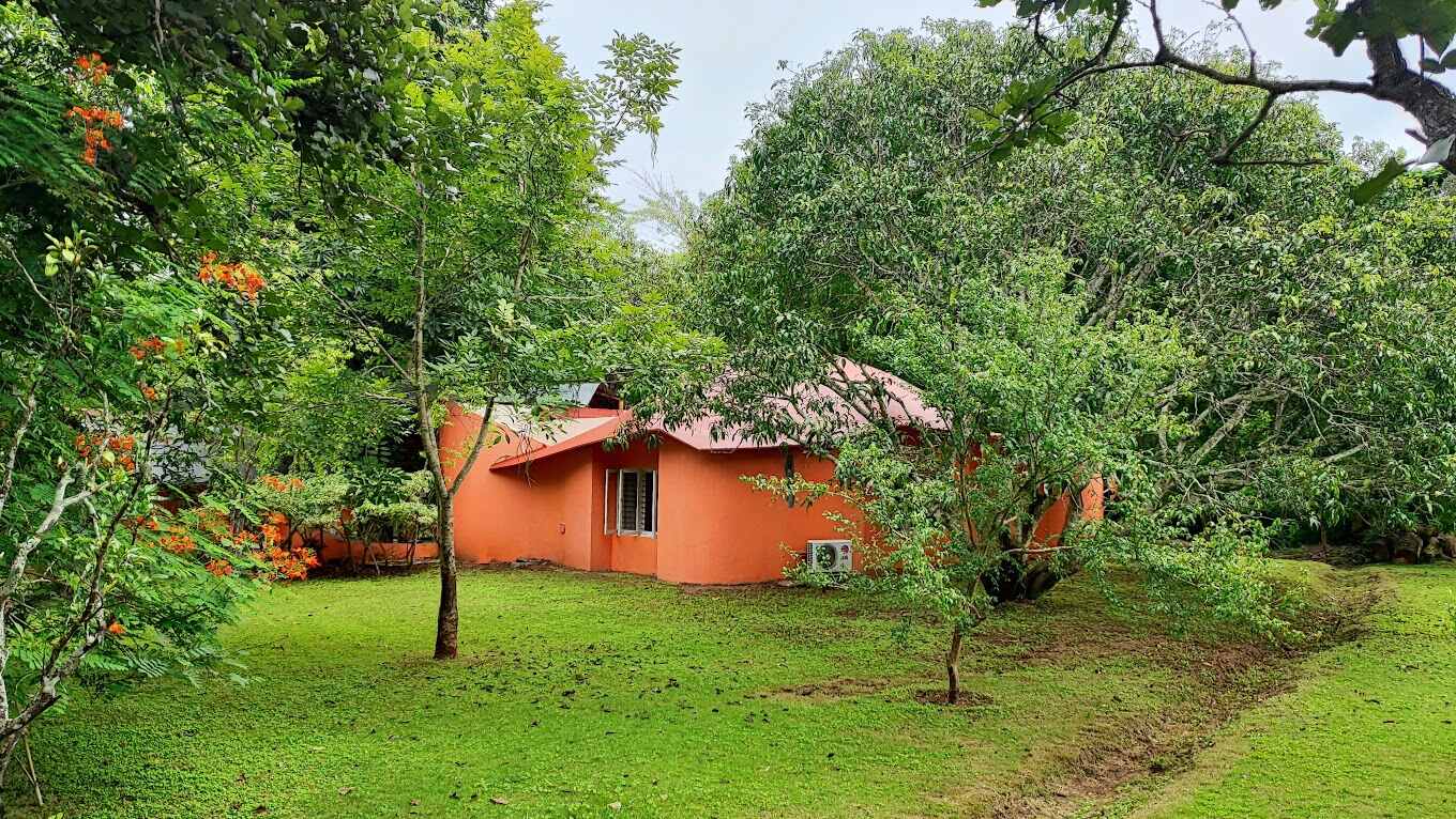 Adventure Resorts Near Bangalore: Exciting Activities for Kids and Family