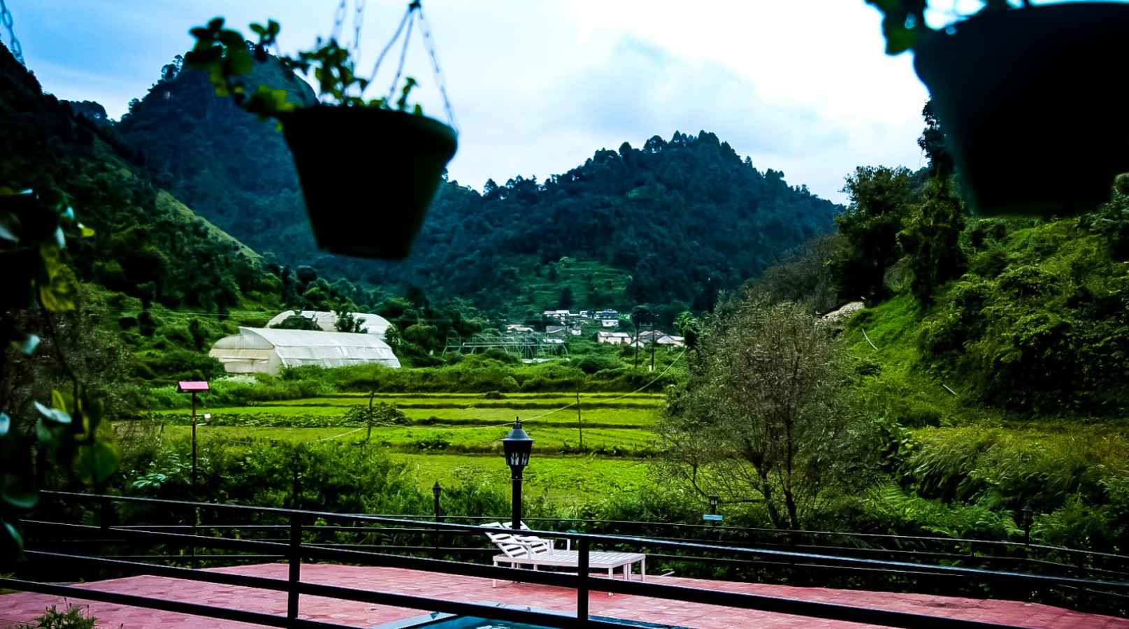 resorts for summer getaways in Nainital in 2025