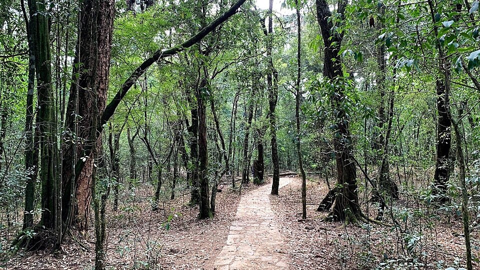 top 10 experiences to try in and around Shillong in 2025
