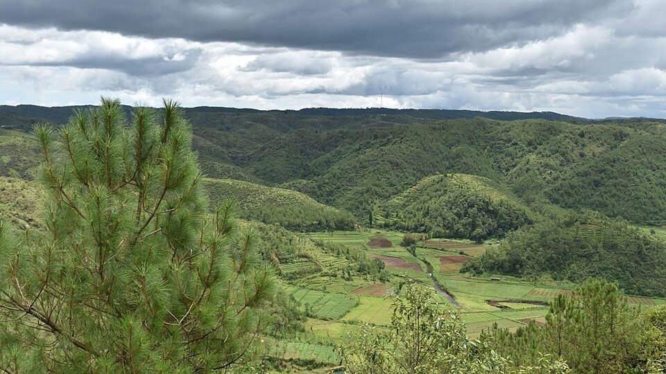 forest in Shillong