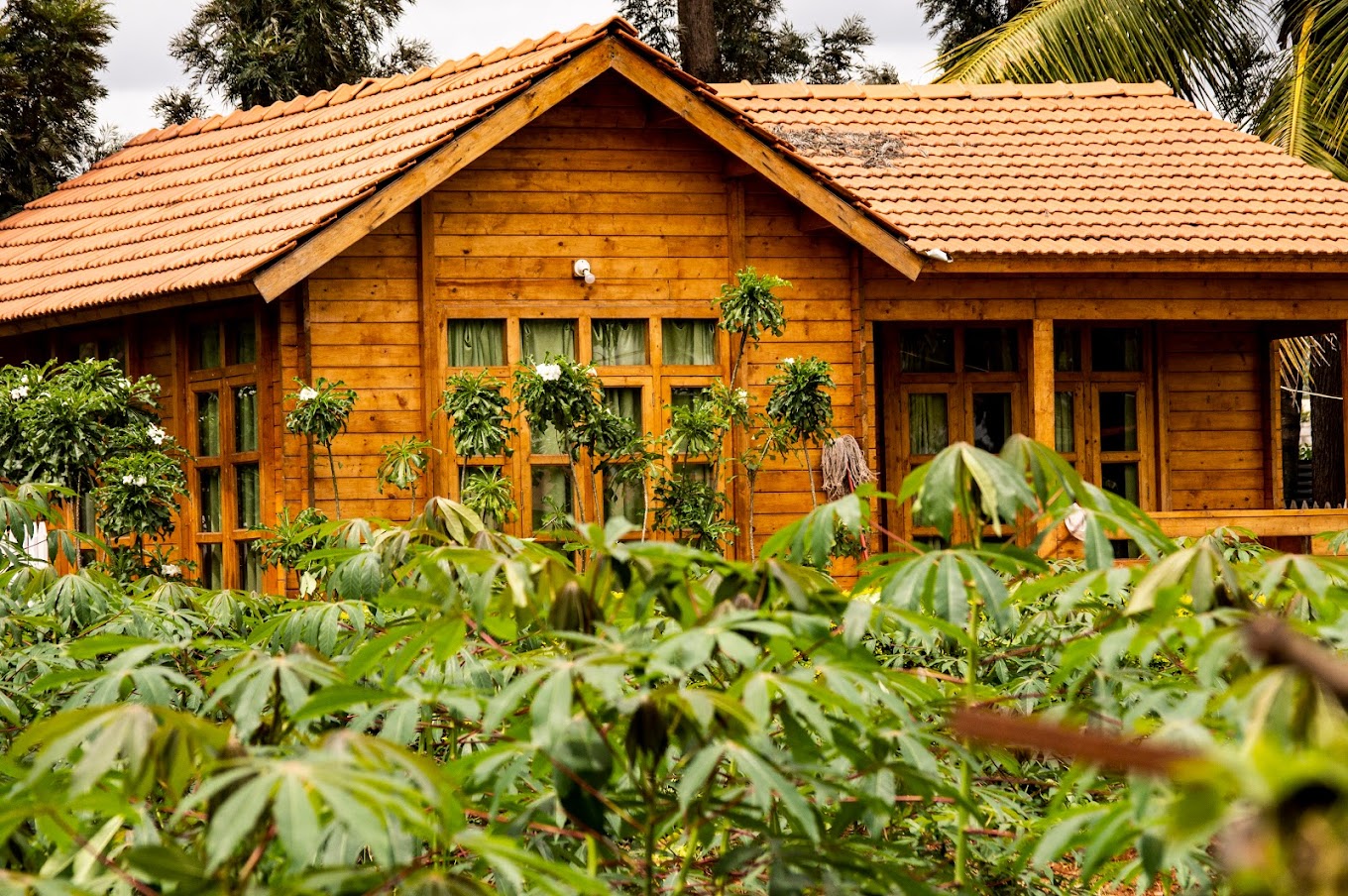 resorts with activities near Bangalore for August long weekend in 2025